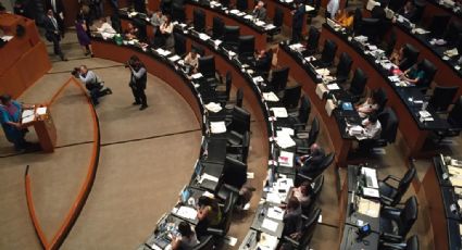 Senadores denuncian ofensas por parte de Juan Pablo Graf, titular de Banca, Valores y Ahorro de Hacienda