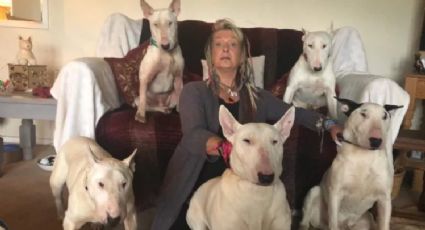 Tras 25 años de matrimonio, mujer deja a su esposo por preferir a sus perros
