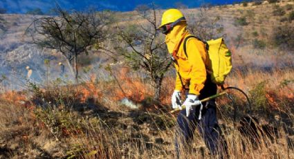Se emite Declaratoria de Emergencia por incendios en Oaxaca: Protección Civil