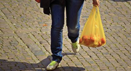 Congreso de Nayarit prohibe uso de popotes y bolsas de plástico