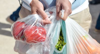 Nueva Zelanda prohibe bolsas de plástico de un solo uso