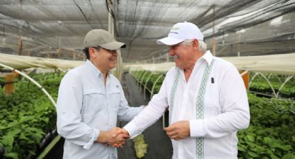 Presidente de Honduras visita vivero de plantas en Chiapas, propiedad de Alfonso Romo