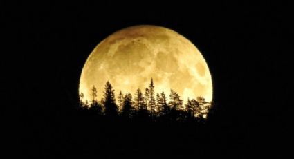 “Luna de Cosecha”, fenómeno que podrás ver este viernes 13