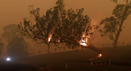 Australia espera lluvias en zonas afectadas por incendios