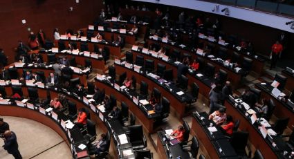 Senadores aprueban en comisiones reforma sobre agentes extranjeros