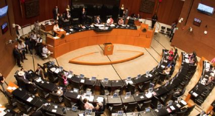 Avalan en Senado minuta sobre violencia digital conocida como Ley Olimpia