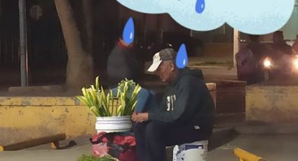 Ayudan en redes a abuelito que vende flores