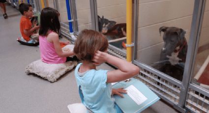 Niños leen cuentos a perros abandonados en un refugio