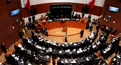 Oposición pide medidas de apoyo a microempresas ante contingencia por Covid-19