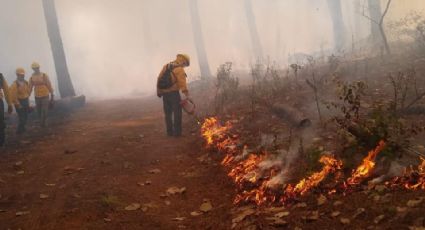 Incendios forestales registran aumento de 48% en las últimas 24 horas