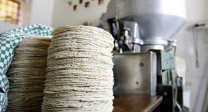 Rechazan productoras  de tortillas esquema de Precios de Garantía