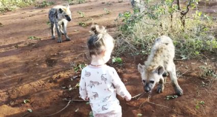 Niña de dos años convive ¿con manada de hienas? (VIDEO)