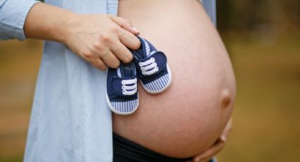 Mujeres embarazadas podrán tramitar su incapacidad en línea: IMSS