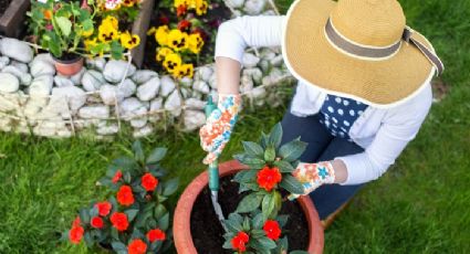 Pasar tiempo en el jardín mejora la salud física y mental: Estudio