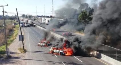 Violencia en Guanajuato sin respuesta federal a la altura: Causa en Común