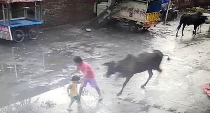 Niño enfrenta a toro por salvar a su hermano menor