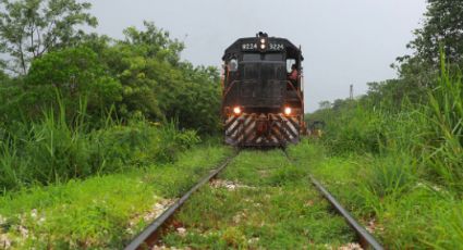Tren Maya: Previsto que se inaugure en diciembre de 2023