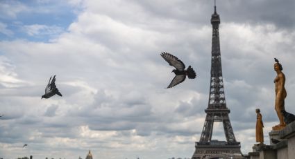 Evacuan Torre Eiffel por alerta de bomba en su interior