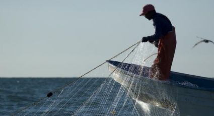 Publican acuerdo para pesca sustentable y protección de la fauna