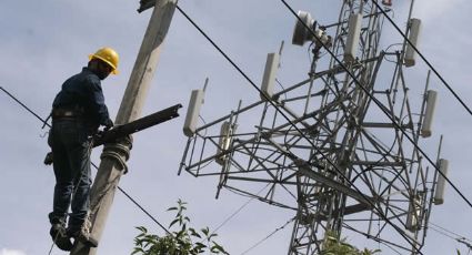 CFE restablece 99% electricidad tras paso de 'Pamela'