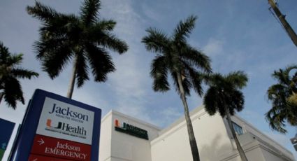Cambio Climático: Florida dejará de plantar sus icónicas palmeras