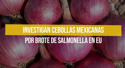 Investigan cebollas mexicanas por brote de salmonella en EU