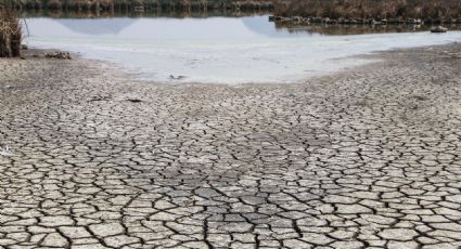 Más de la mitad del país en sequía, dice informe del Meteorológico