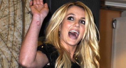 Britney Spears, en Instagram, impresionada por el gato ‘Stepán’ y sus bebidas exóticas