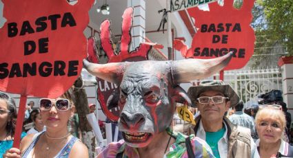 Tauromaquia vs prohibición