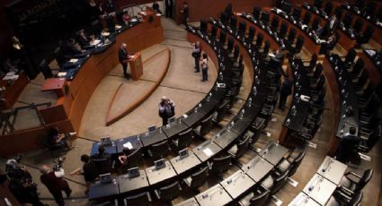 Senado avala en fast track reforma eléctrica propuesta por AMLO