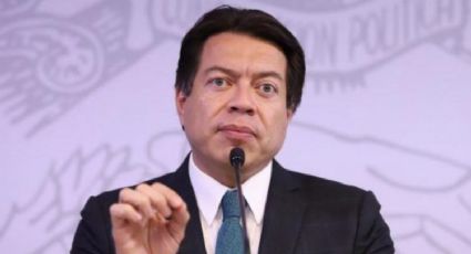Delgado va contra el INE, ya que será investigado por financiamiento privado: M. Ledo