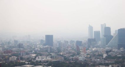 Acusan que México no está frenando emisión de gases efecto invernadero