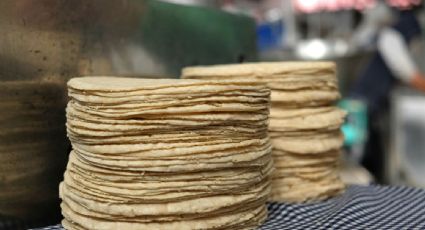 ¿Organizaciones criminales controlan el precio de la tortilla?