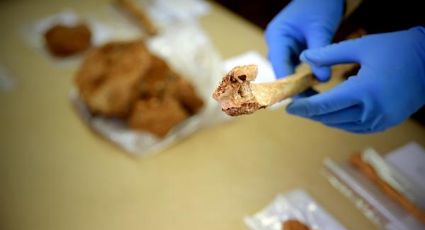 Estudia el INAH restos óseos y 19 mil objetos de hace mil 400 años