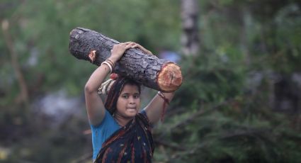 Campesinos indios llevan 6 meses de protestas contra la reforma agraria
