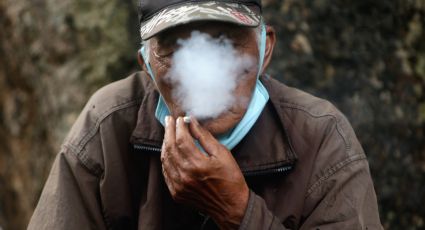 Día Mundial Sin Tabaco: ¿Cuál es el peligro de consumirlo?