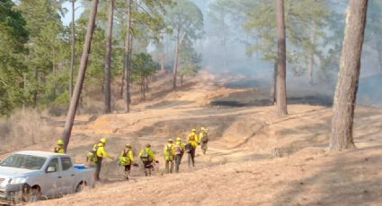 Se registran 39 incendios forestales activos en todo el país