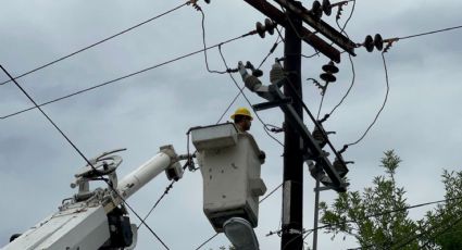 CFE restablece al 100% electricidad tras frente frío 59 en NL