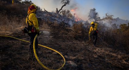 Incendios en EU: "Bootleg" supera las 80 mil hectáreas calcinadas