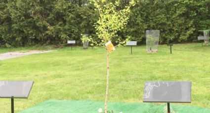 Crean el primer cementerio ecológico en Quebec, Canadá