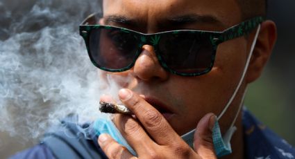 Fallo contra prohibición del uso lúdico de marihuana, obligará a legislar de nuevo: PRD