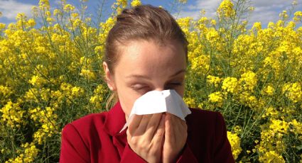 Día Mundial de la Alergia ¿Son diferentes los síntomas del Covid-19 y las alergias?