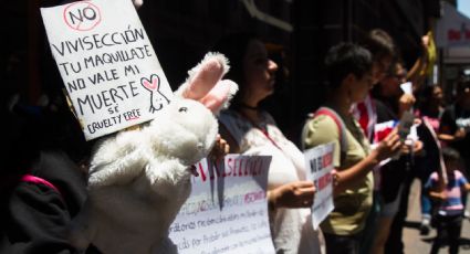 Senado avala reformas a la Ley General de Salud para prohibir pruebas de cosméticos en animales