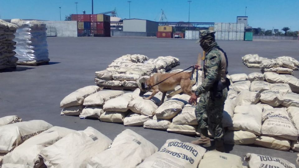 Dos mil 14 paquetes de cocaína fueron asegurados en Chiapas por personal de la Fiscalia General de la República.