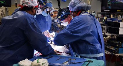 Universidad de EU realiza el trasplante de corazón de cerdo a un humano