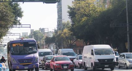 No se multarán a quienes emplaquen autos en otros estados: Luz Elena González