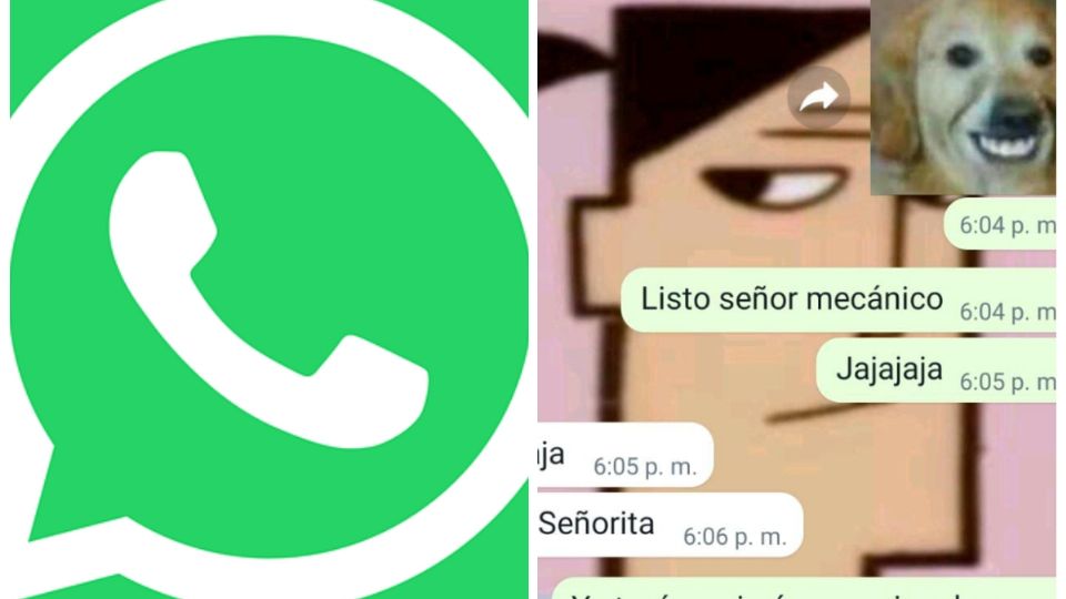 WhatsApp, prohibirá que tomes capturas de pantalla.