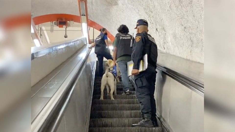 Elementos del Metro escoltan a entrenadores de perros en las escaleras.