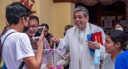 Una iglesia de México bendice a más de 300 mascotas ¡Bendecir a los lomitos ya es una realidad!