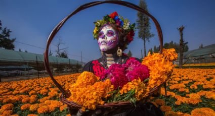 Cempasúchil: el origen y razón por la que se usa en Día de Muertos
